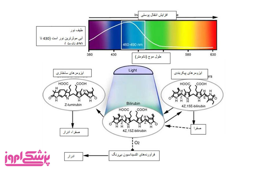 روش کار فتوتراپی| زردی| دستگاه زردی| نوزاد| پوست